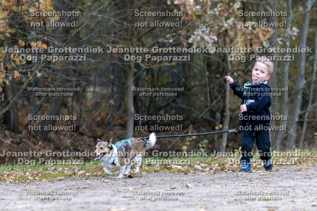 Dog Paparazzi - SD CaniX Championship 2025-674 | Dog Paparazzi Jeanette Grottendiek Fotografie & Videografie - Realisiert mit Pictrs.com