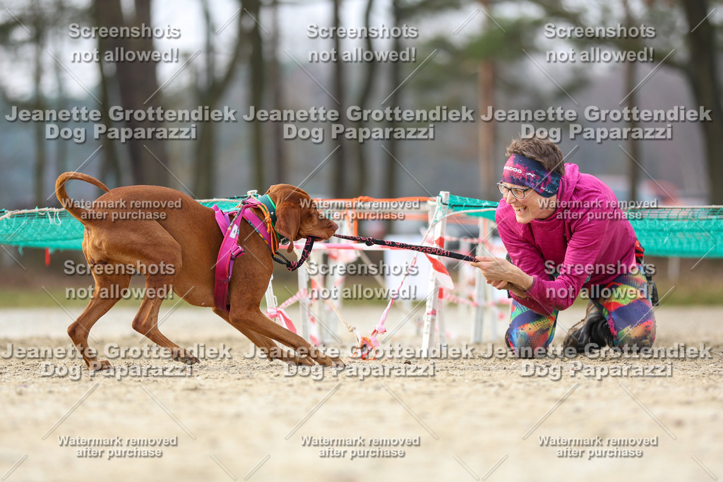Dog Paparazzi - Strongdog North Mrz26-4322 | Dog Paparazzi Jeanette Grottendiek Fotografie & Videografie - Realisiert mit Pictrs.com