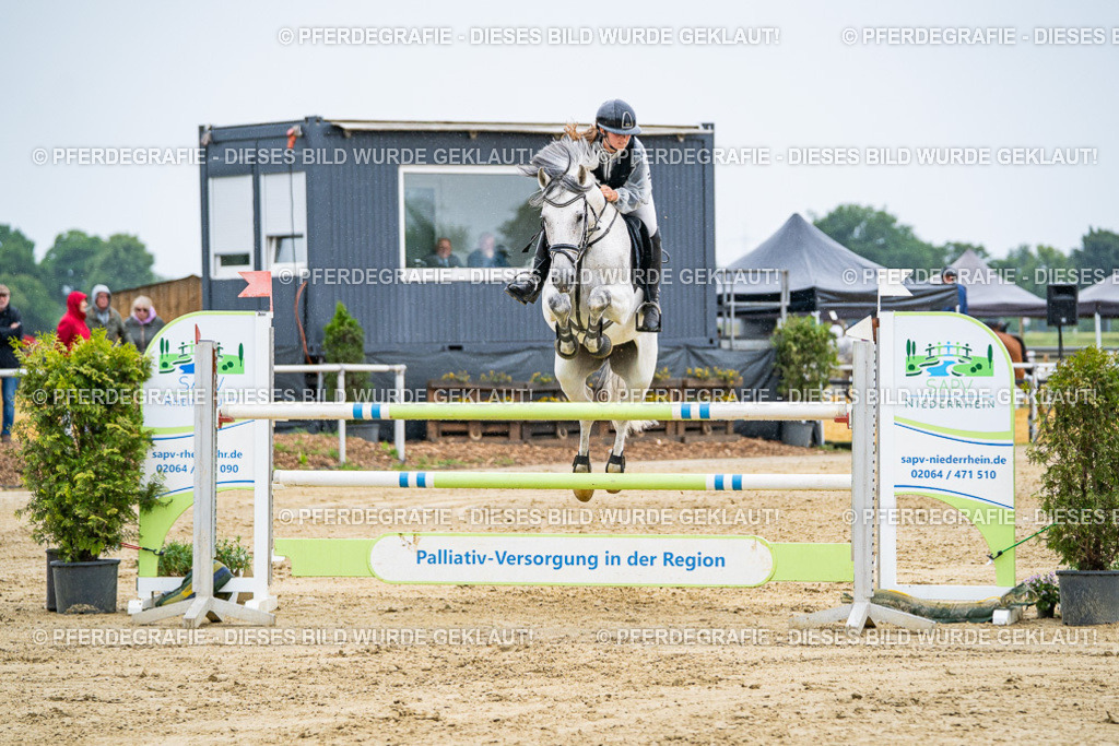 DSC08098 | Pferdegrafie