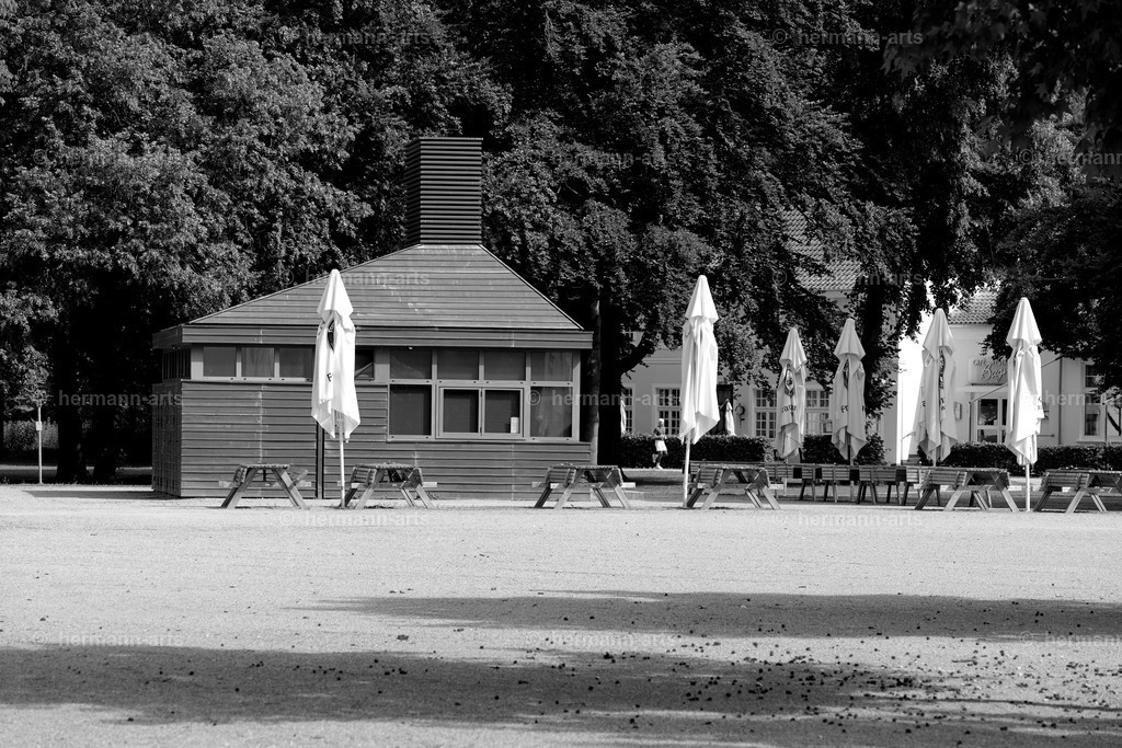 Bagno_09_07_24_DPP-6a | Photo Foto Kunst Art schwarzweiss Bilder Rheine Münster Berlin Blumen 