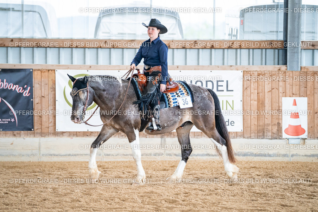 DSC02776 | Pferdegrafie