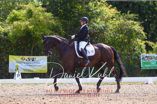 DKP41080 | Turniersportfotografie; Pferdefotografie; Dressurfotografie
