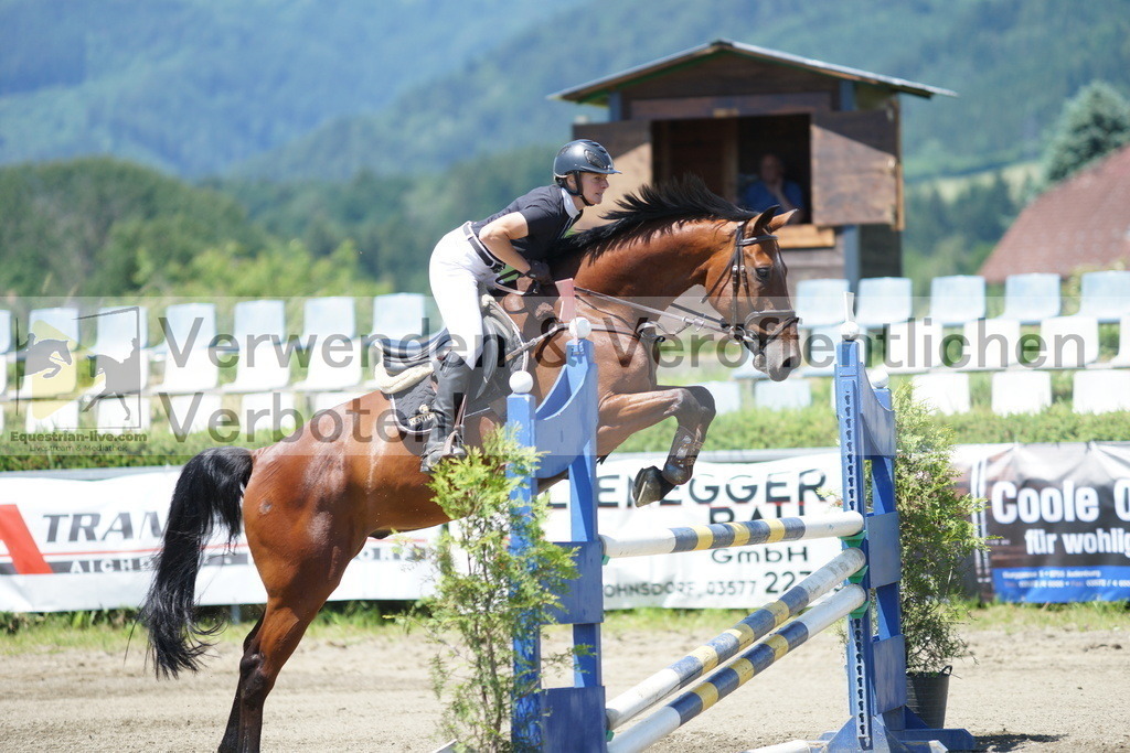 DSC06152 | equestrian-live-com