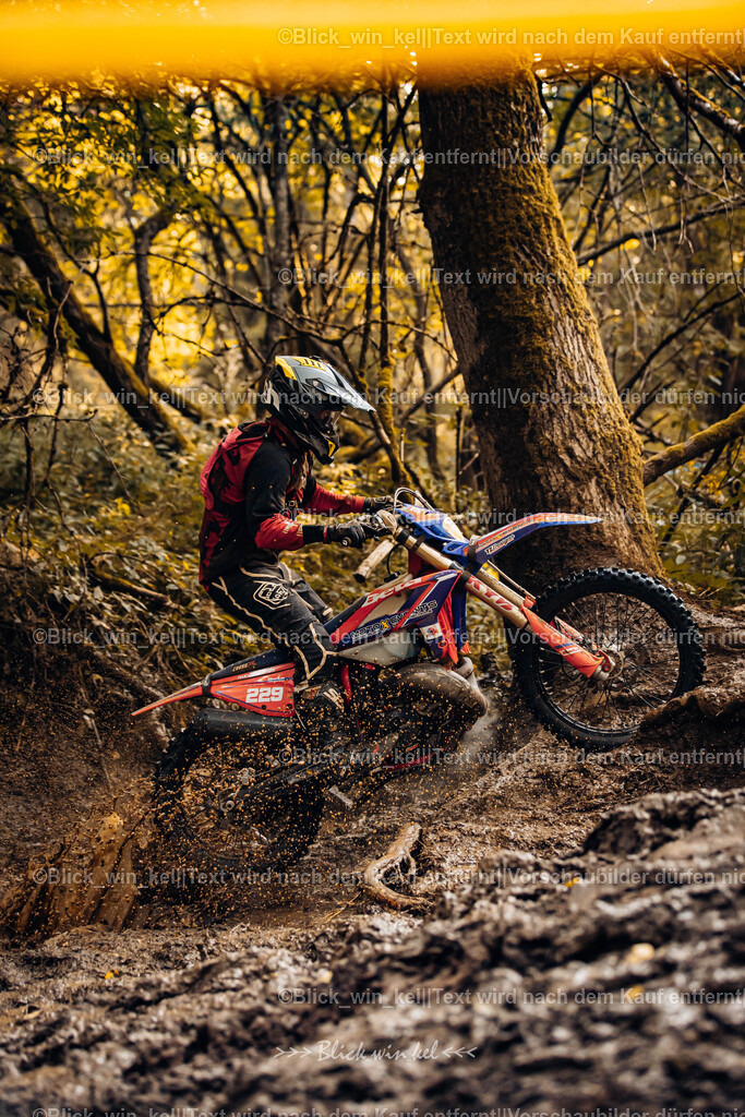 E68A6208 | blick_win_kel