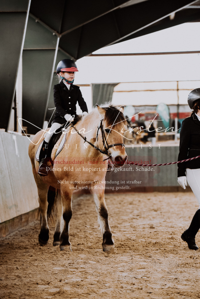 DSC_6837 | Pferde- und Turnierfotografie in Westsachsen. Pferdeportraits, Auftragszeichnungen und intuitive Kunst.