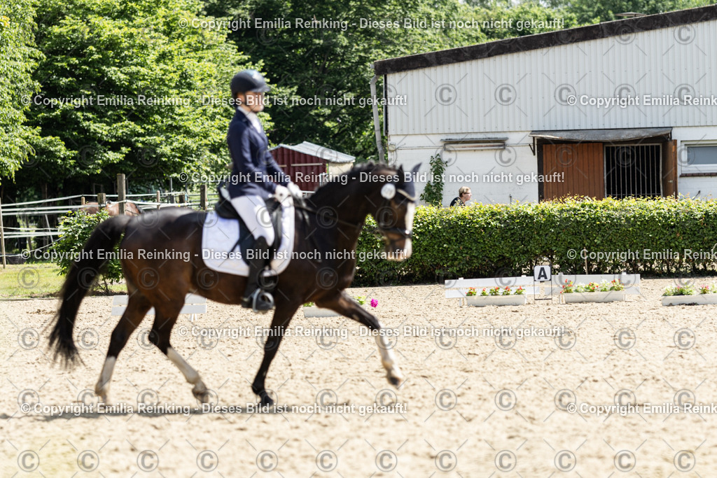 CL5A8770 | Emilia Reinking Fotografie - Realisiert mit Pictrs.com