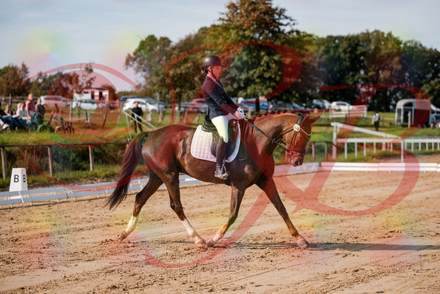 2026_10_03_Siefer-Hof_114721_Z63_25844840 | Professionelle Reitsport-, Turnier- und Eventfotografie von Robert Broda. Galerien mit ausgewählten und bearbeiteten Bildern direkt online ansehen und bestellen.