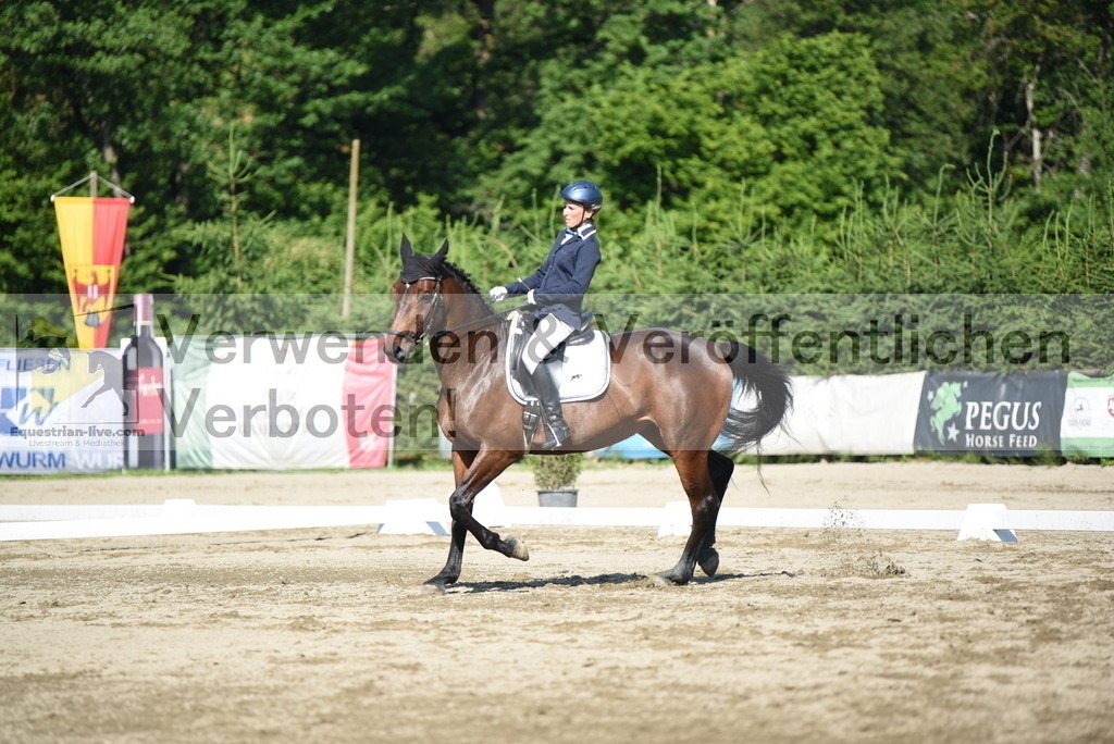 DSC_7442 | equestrian-live-com