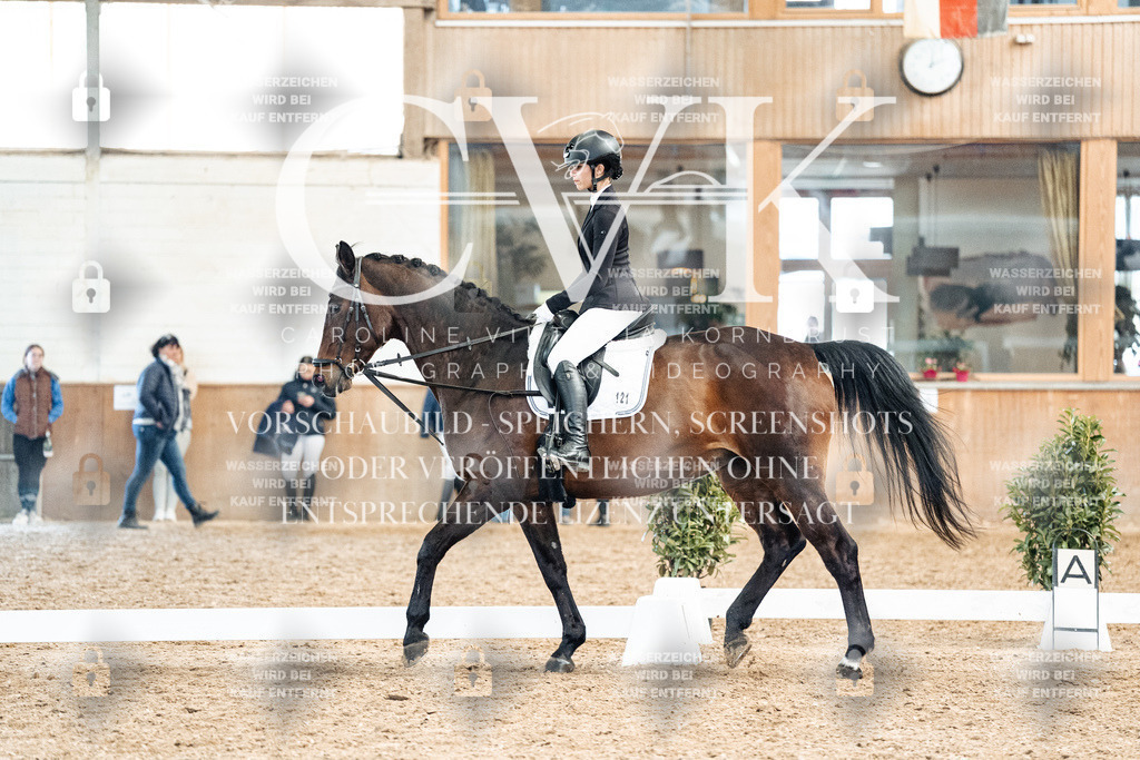 CK909932 | Turnierfotografie Pferdefotografie Trier Rheinland-Pfalz Pferdesport Reitsport Tierfotografie Sportfotografie Pferdevideo Pferdevideografie Equestrianvideography equestrianphotography  - Realized with Pictrs.com