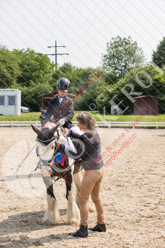 IMG_3406 | Sport-, Event- und Tierfotos in Profiqualität. Einfach auswählen, bestellen und herunterladen. Dein Moment – perfekt festgehalten.