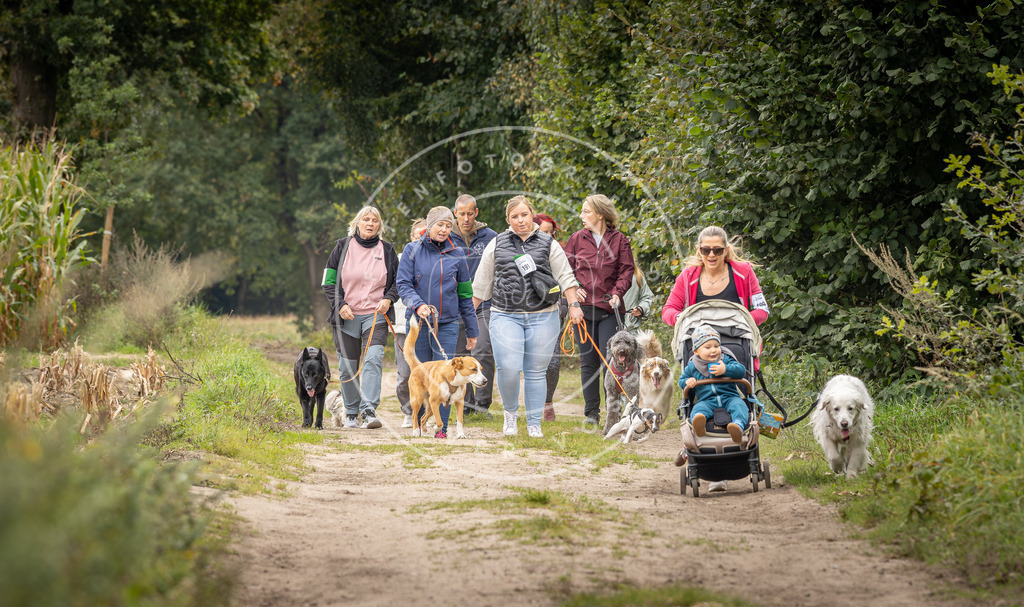 Pfotenfotografie_DV3A7615 | Hundefotografie, Tierfotograf, Pfotenfotografie, Fotoshooting Hund, Hunde Portrait, Hundesport, Hundeportraits, Heideshooting, Hunde, Sportfotograf, Hundefotograf, Turnierhundsport, THS,  - Realisiert mit Pictrs.com