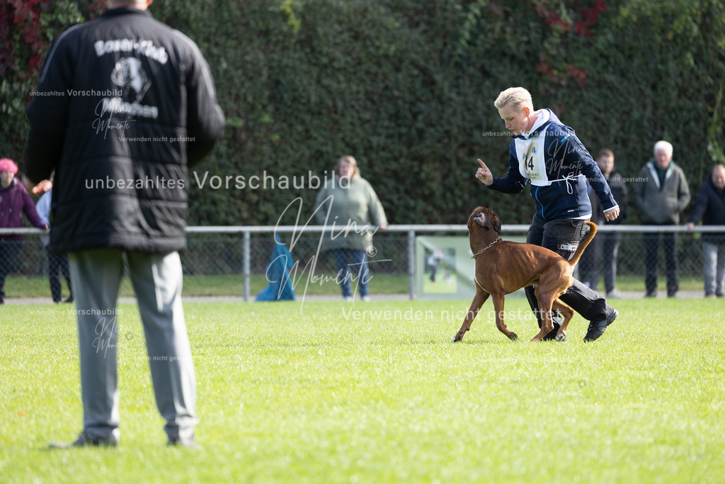 _16A6792 | Einzigartige Fotos von Hunden & Menschen –Actionfotos, Portraits, Vereinsaufnahmen & Paarshootings – authentisch, lebendig & mit Herz.