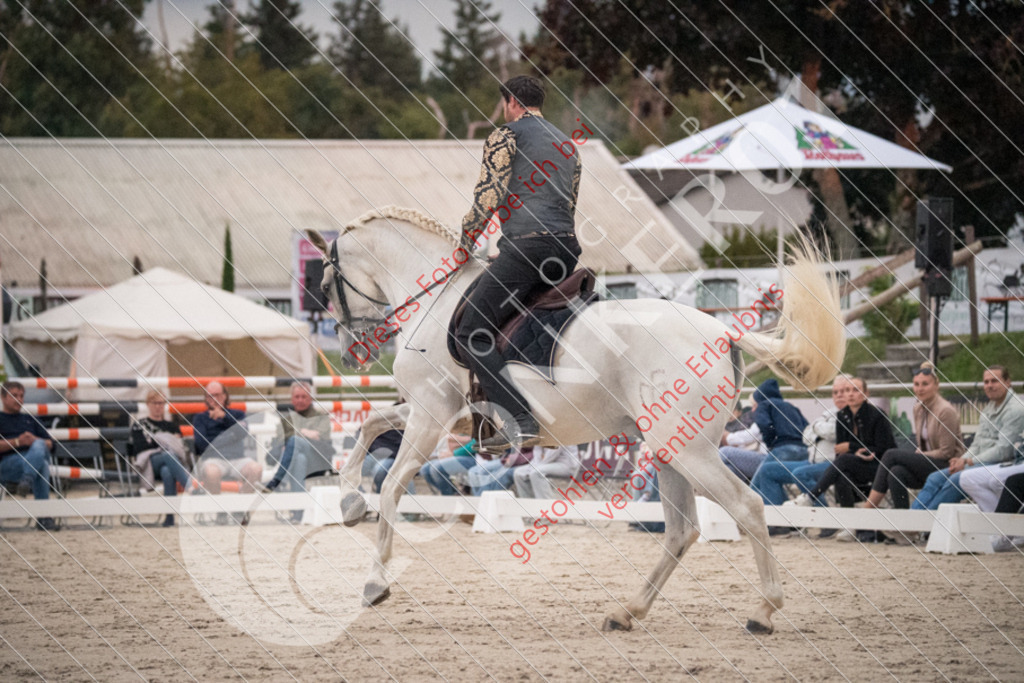 DSC_0073 | Sport-, Event- und Tierfotos in Profiqualität. Einfach auswählen, bestellen und herunterladen. Dein Moment – perfekt festgehalten.
