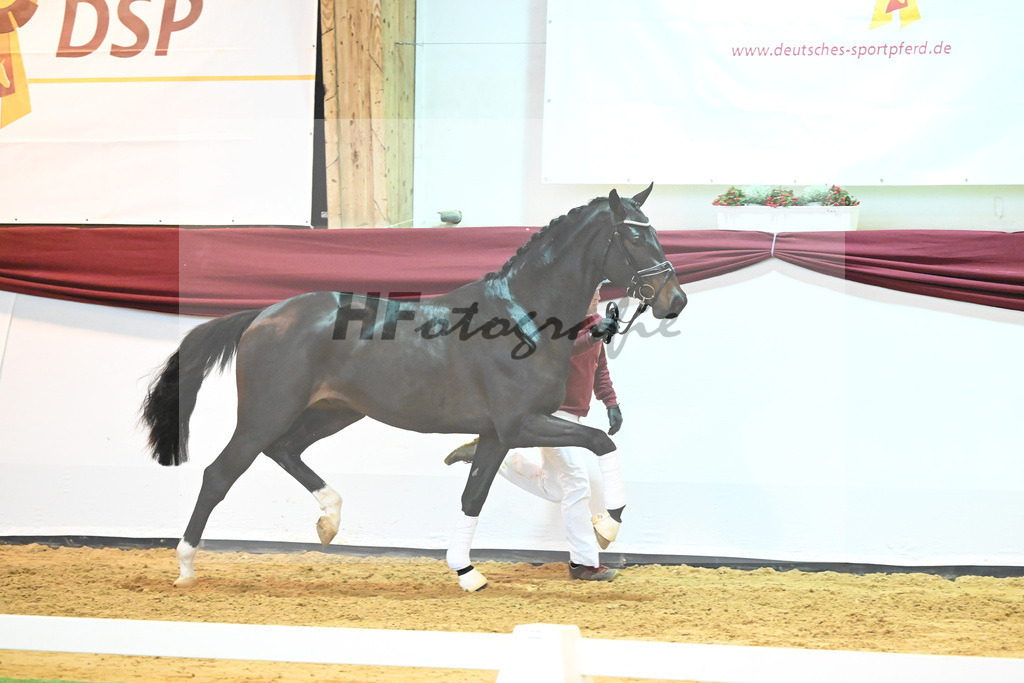Kat-Nr. 77 v. Valentino Rossi_Ederle_66222345 | hf-fotografie - Realisiert mit Pictrs.com