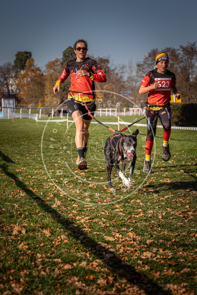 CaniXpix_0L8A7155 | Hundefotografie, Tierfotograf, Pfotenfotografie, Fotoshooting Hund, Hunde Portrait, Hundesport, Hundeportraits, Heideshooting, Hunde, Sportfotograf, Hundefotograf, Turnierhundsport, THS,  - Realisiert mit Pictrs.com