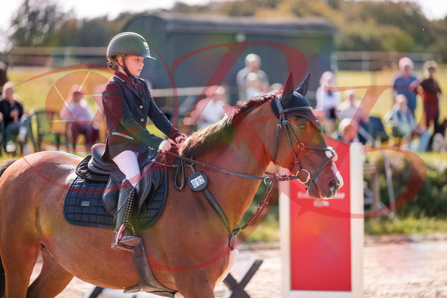 2026_10_03_Siefer-Hof_143842_Z81_09283005 | Professionelle Reitsport-, Turnier- und Eventfotografie von Robert Broda. Galerien mit ausgewählten und bearbeiteten Bildern direkt online ansehen und bestellen.