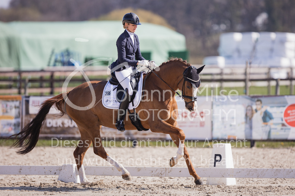 230410_Frühlingsfest_Dressurpf-M-120 | Deine schönsten Turniermomente als professionelle Fotos! Entdecke hochwertige Pferdesport-Fotografie im Online-Shop. Jetzt Fotos finden & bestellen!