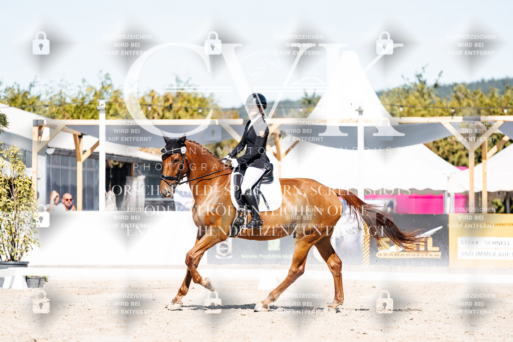 CK908683 | Turnierfotografie Pferdefotografie Trier Rheinland-Pfalz Pferdesport Reitsport Tierfotografie Sportfotografie Pferdevideo Pferdevideografie Equestrianvideography equestrianphotography  - Realisiert mit Pictrs.com