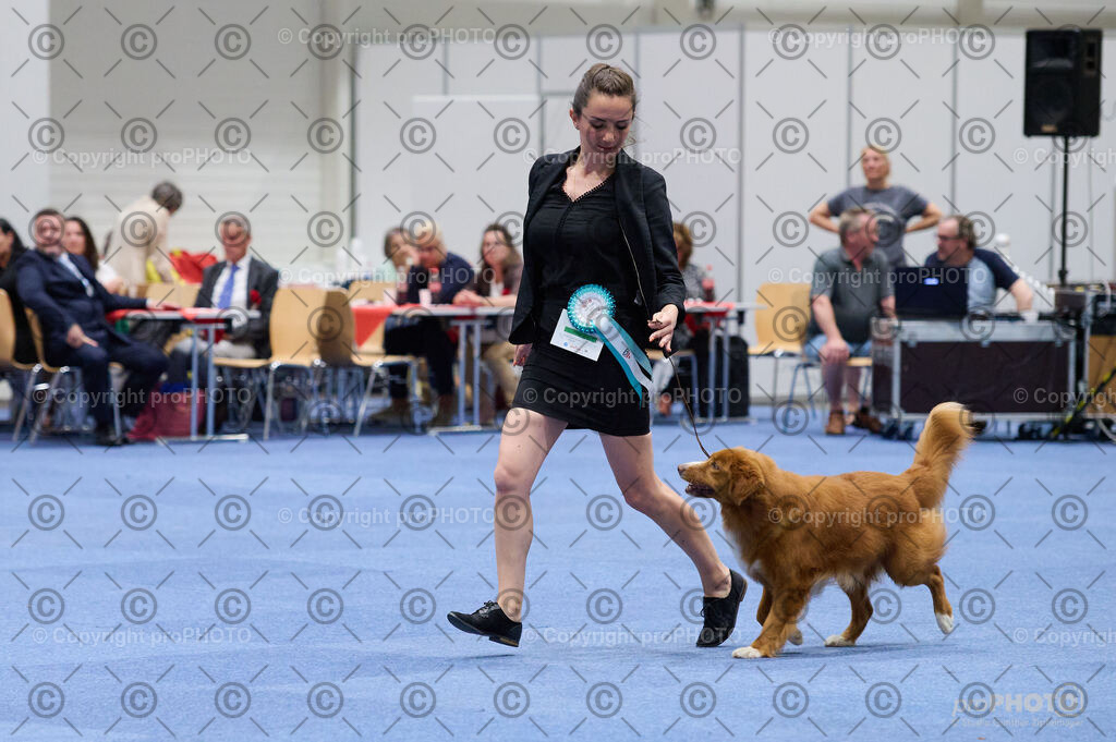 202406_ÖKV-IHA-Tulln24_DSC_3171 | proPHOTO - Realisiert mit Pictrs.com