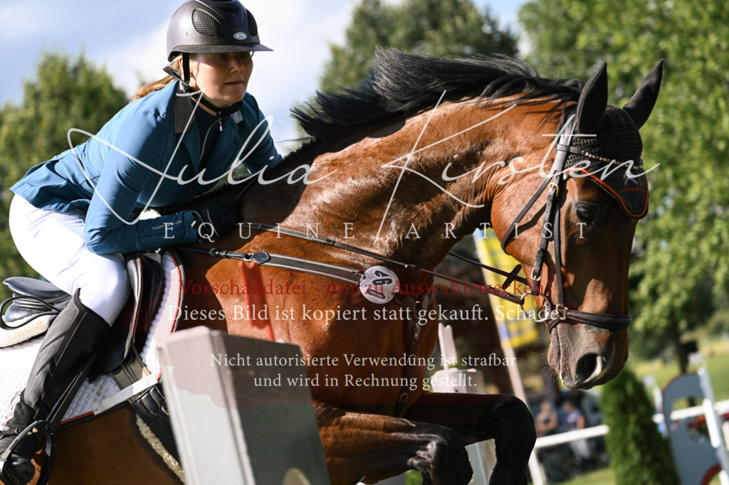 DSC_1150 | Pferde- und Turnierfotografie in Westsachsen. Pferdeportraits, Auftragszeichnungen und intuitive Kunst.