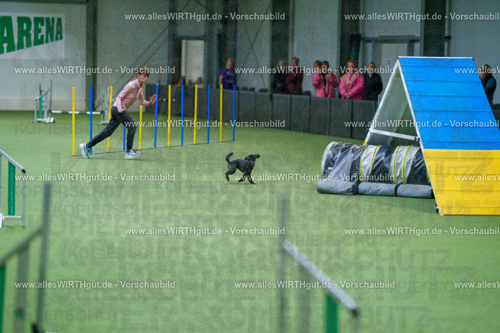 @allesWIRTHgut_Tierfotografie - www.allesWIRTHgut.de - 2604250858-7R508228 | Professionelle Tierfotografie in Mönchengladbach von Daniel Wirth (allesWIRTHgut). Liebevolle & natürliche Bilder von Hunden & Katzen für unvergessliche Erinnerungen.
