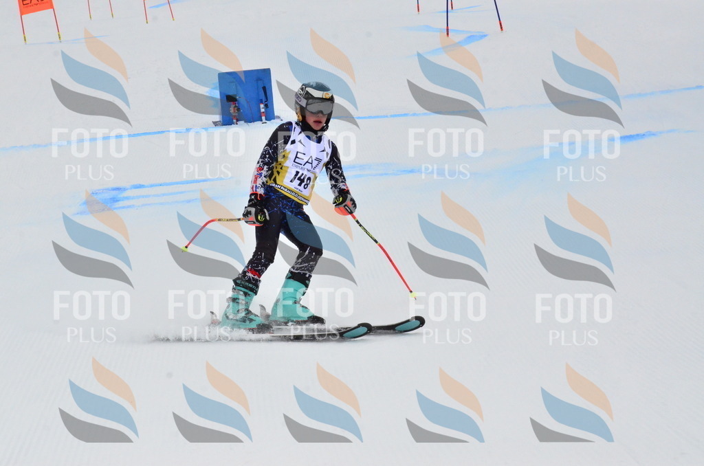 _ELE3802 | holidayphoto