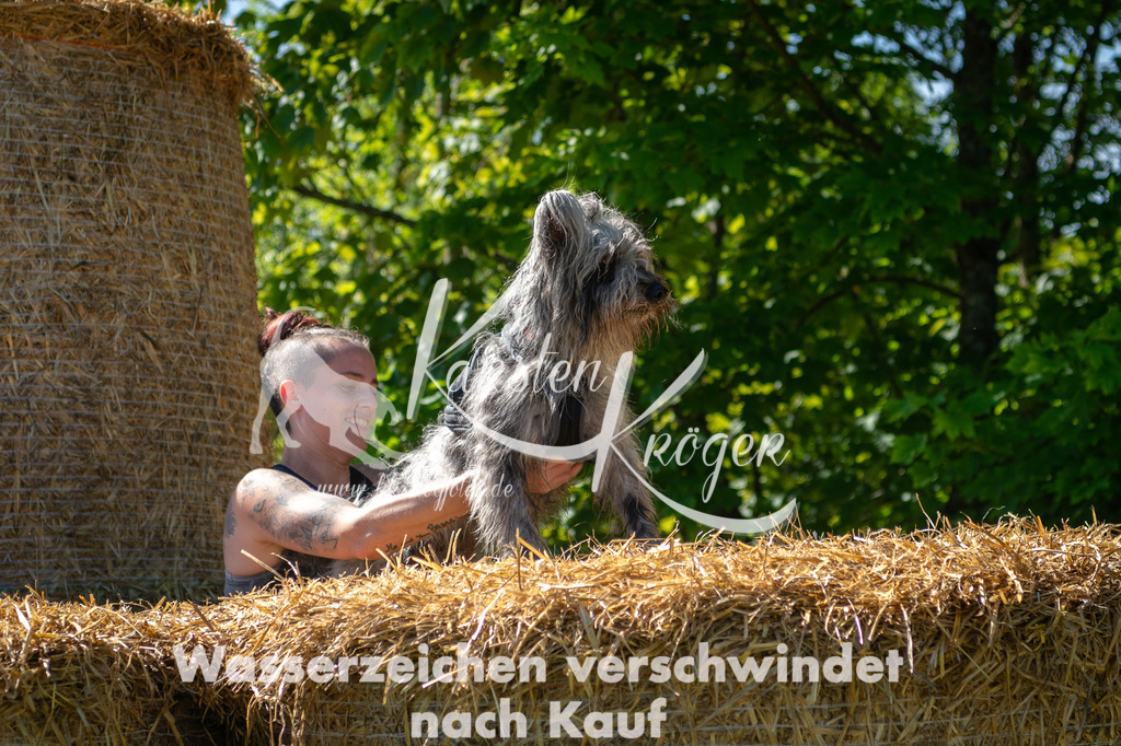 1021STR_5379 | kk-dogfotos