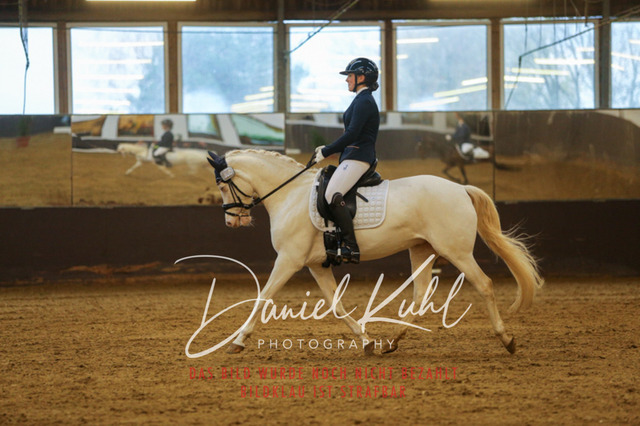 IMG_8006 | Turniersportfotografie; Pferdefotografie; Dressurfotografie