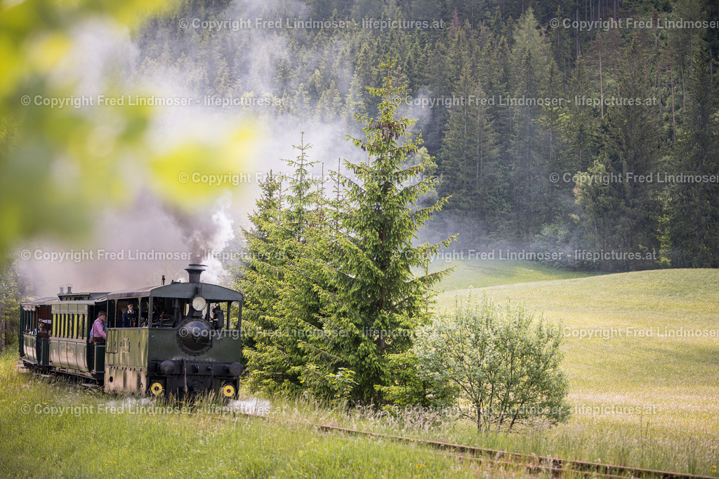 Erlaufsee Ausflugsschiff Fleissner-1446 | Fotos und Fotoprodukte - Realisiert mit Pictrs.com