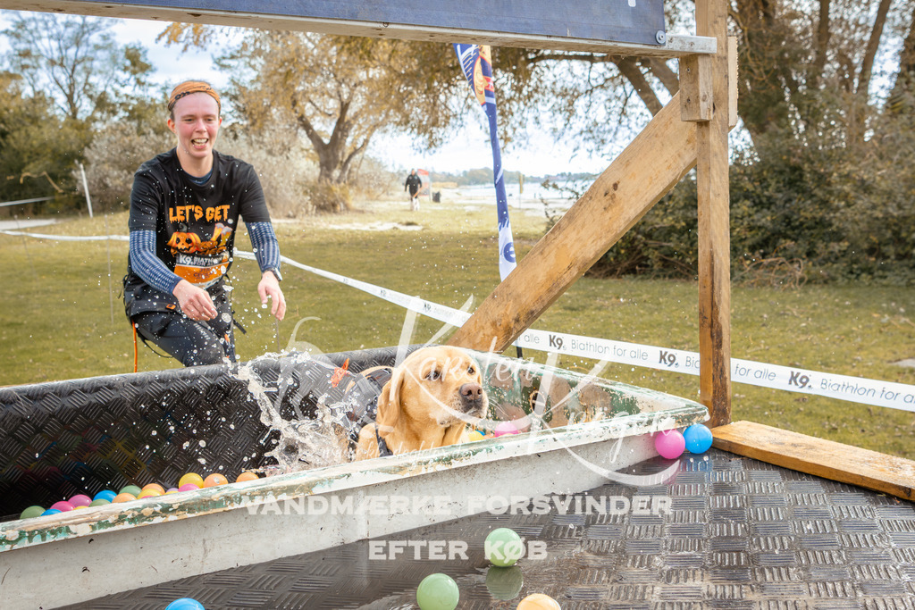 1351_ZZ92508-2 | kk-dogfotos