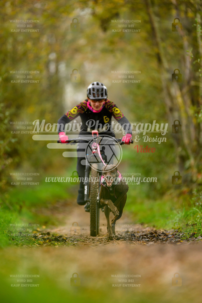 MompixPhotography_20TSB_E6_Bike-49 | PayLife