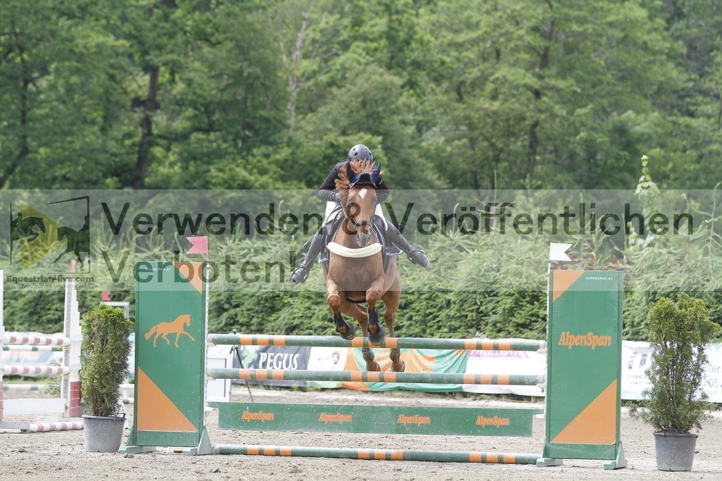 _MG_9230 | equestrian-live-com