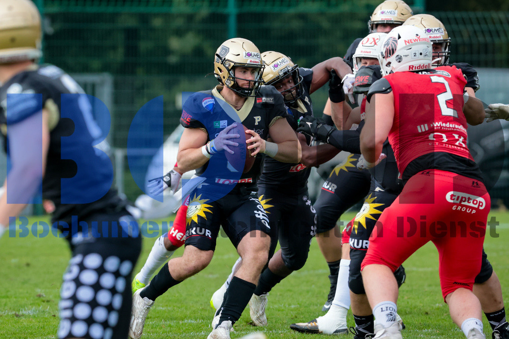 GFL: Paderborn Dolphins vs. New Yorker Lions{date} -  | {headline}(Foto: Sebastian Sendlak / BOND) - Realisiert mit Pictrs.com
