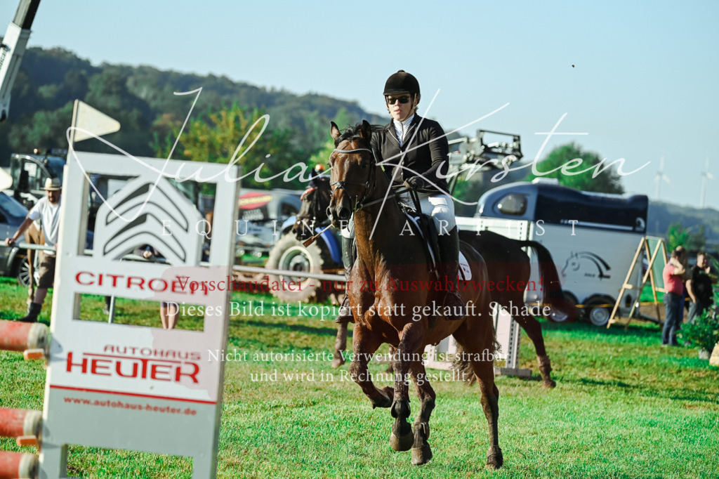 DSC_4372 | Pferde- und Turnierfotografie in Westsachsen. Pferdeportraits, Auftragszeichnungen und intuitive Kunst.