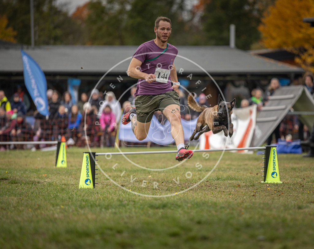 Pfotenfotografie_DV3A7811 | Hundefotografie, Tierfotograf, Pfotenfotografie, Fotoshooting Hund, Hunde Portrait, Hundesport, Hundeportraits, Heideshooting, Hunde, Sportfotograf, Hundefotograf, Turnierhundsport, THS,  - Realisiert mit Pictrs.com