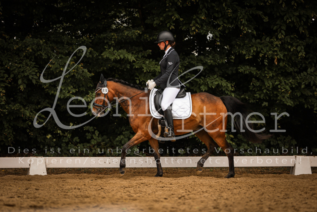 DoDrE00510 | Leoni Ertmer Photography - Realisiert mit Pictrs.com