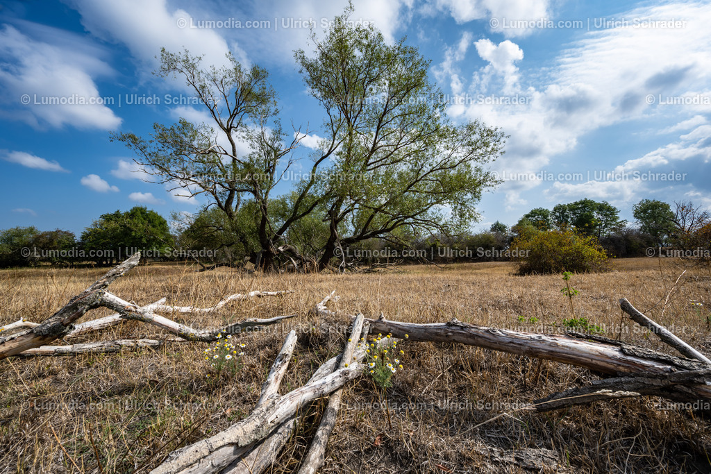 10049-12566 - Am Elberadweg | Stockfoto und Bilderpool mit Bildmaterial aus Deutschland, dem Harz, Halberstadt, Quedlinburg, Wernigerode und weltweit. Qualitativ hochwertige und professionelle Fotos anschauen und kaufen. - Realisiert mit Pictrs.com