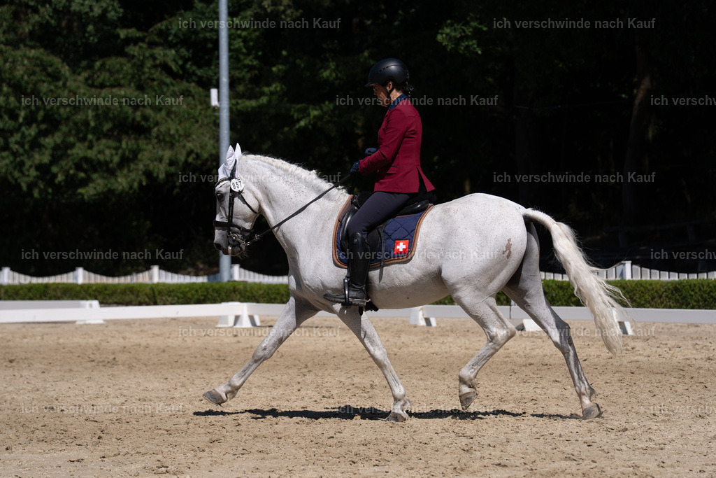 WS_DR_57_sinafilmart_IN03550 | working equitationturnier fotograf videograf stoibphotography marixx film working equitation deutschland reitsport turnierfotografie eventfotografie equestrian events