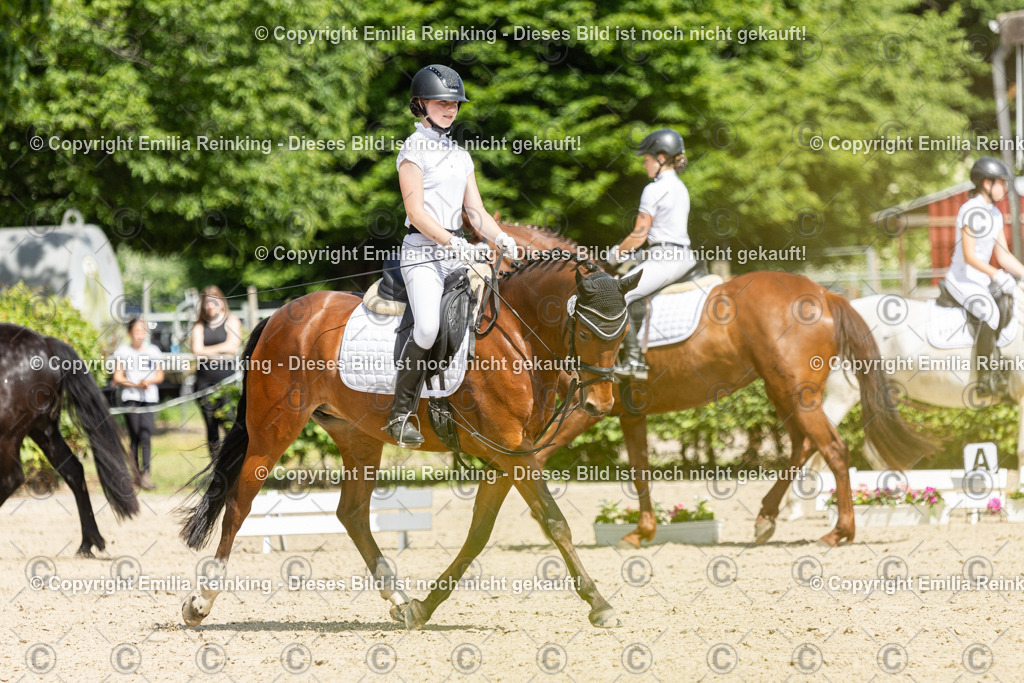 CL5A0606 | Emilia Reinking Fotografie - Realisiert mit Pictrs.com