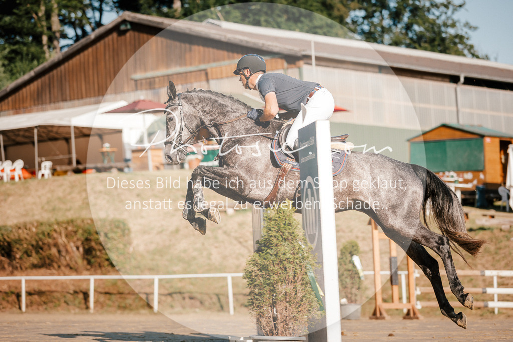 3I6A6105 | Stimmungsvolle Portraits und Reitsportfotografie im Ruhrgebiet und im Münsterland.

Pferdefotografie, Hundefotografie, Tierfotografie, Reportagen, Portraits von Tier und Mensch, Turnierfotografie in Bochum, Recklinghausen, Marl, Haltern am See, Dülmen.. - Realisiert mit Pictrs.com