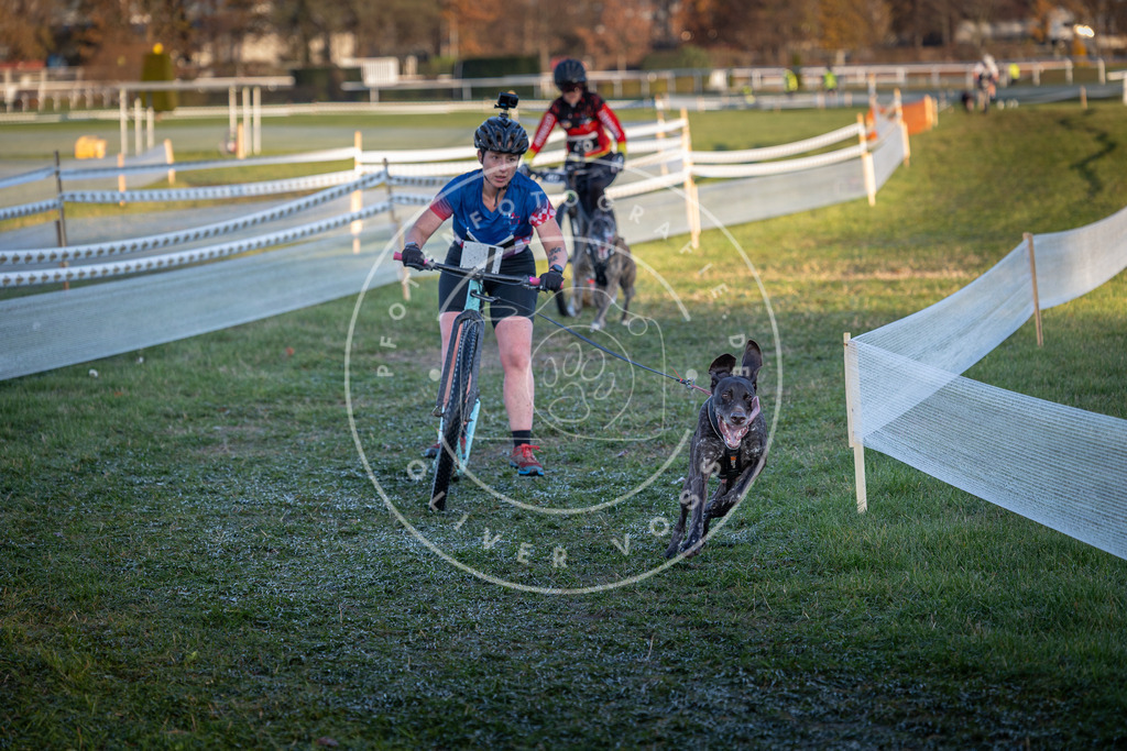 CaniXpix_0L8A2399 | Hundefotografie, Tierfotograf, Pfotenfotografie, Fotoshooting Hund, Hunde Portrait, Hundesport, Hundeportraits, Heideshooting, Hunde, Sportfotograf, Hundefotograf, Turnierhundsport, THS,  - Realisiert mit Pictrs.com