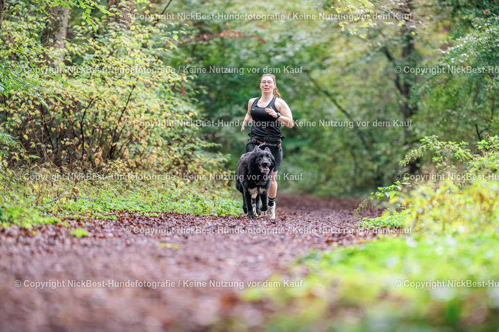 THS-HSV-Blumenthal-2026-Nickbest-Hundefotografie-0643 | Dein Hund! Dein Moment! Deine Erinnerungen! Hundefotografie in Bremen Blumenthal. Ich fange die besonderen Momente deines Vierbeiners ein – ob Indoor mit Blitzanlage oder in der freien Natur. Sicher dir dein Moment und dein Termin für eure Erinnerungen.