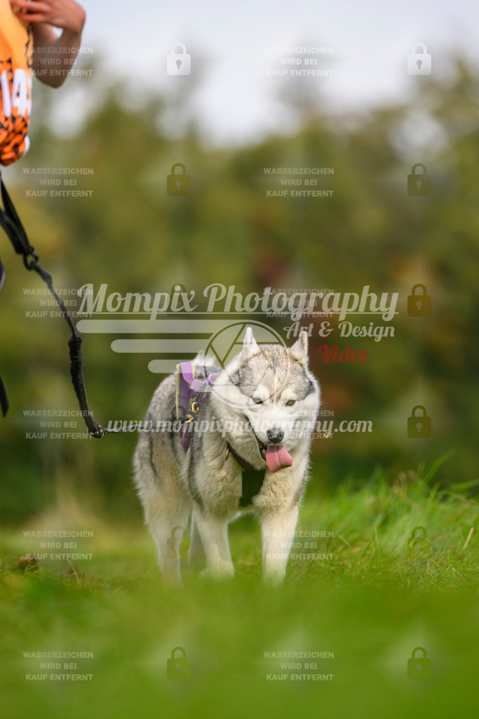 MompixPhotography_CDLBDB2025_DI_CC-212 | PayLife