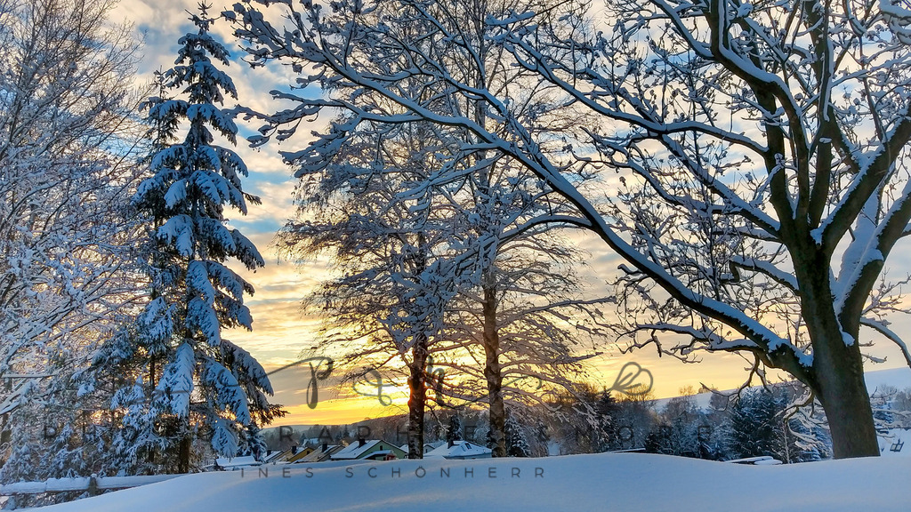 Winter  | Photographies and more - Realisiert mit Pictrs.com