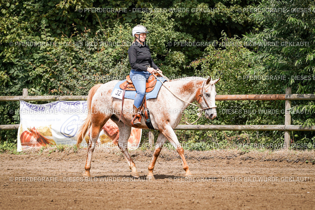 DSC07322 | Pferdegrafie