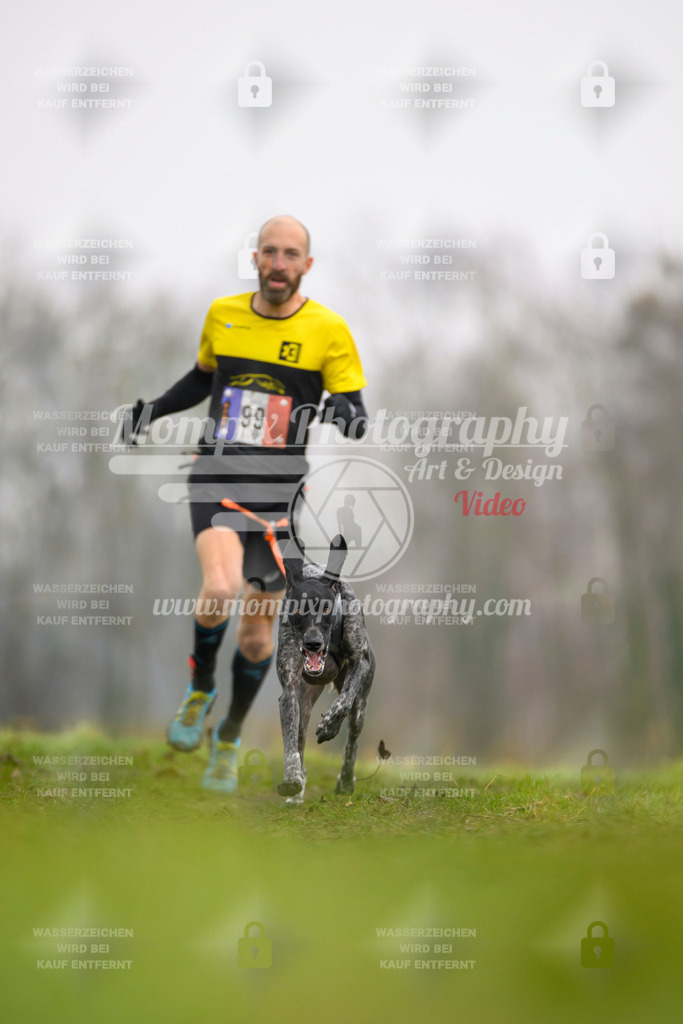 MompixPhotography_CDF2023_FFST_Di_Canicross-11 | PayLife