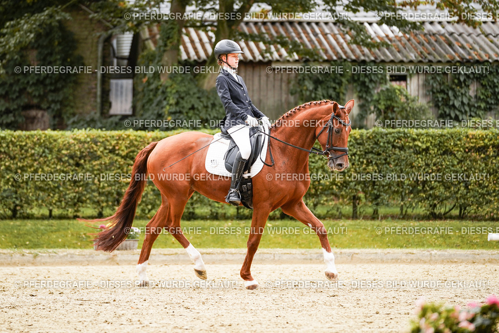 DSC07599 | Pferdegrafie