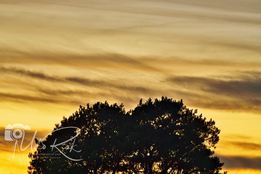 Goldene_Stunde | Entdecken Sie Fotografie aus Leidenschaft: Auftragsfotografie, HD-Fotos, Geschenkartikel aus Ihren Bildern und vieles mehr. Beauftragen Sie uns für besondere Momente!