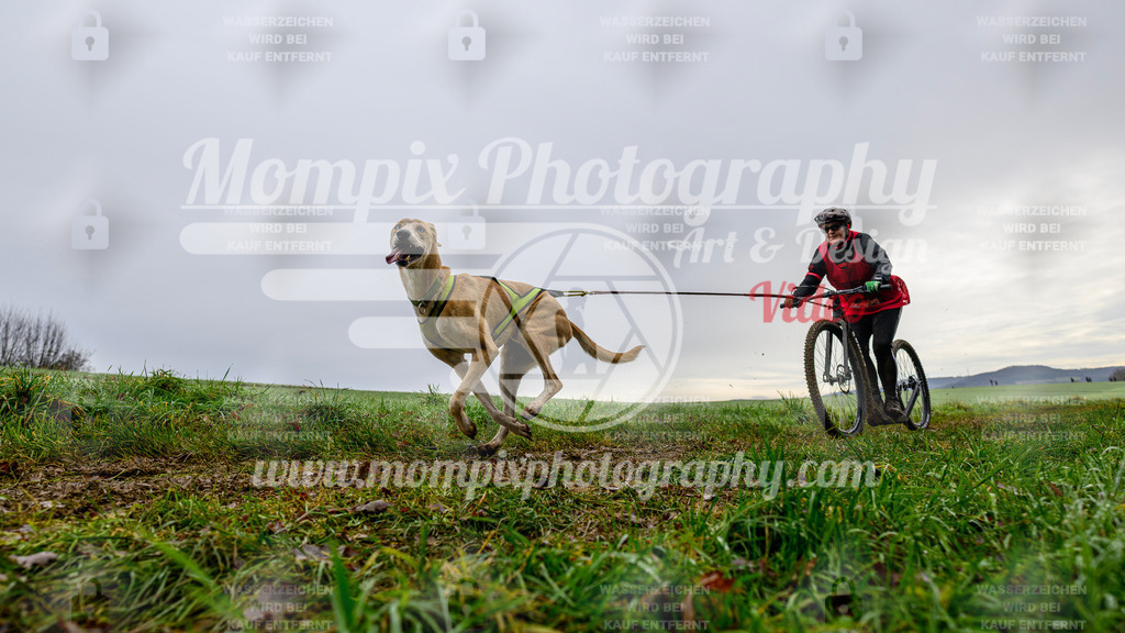 MompixPhotography_Staufertrail2024_SO_DS1-22 | PayLife