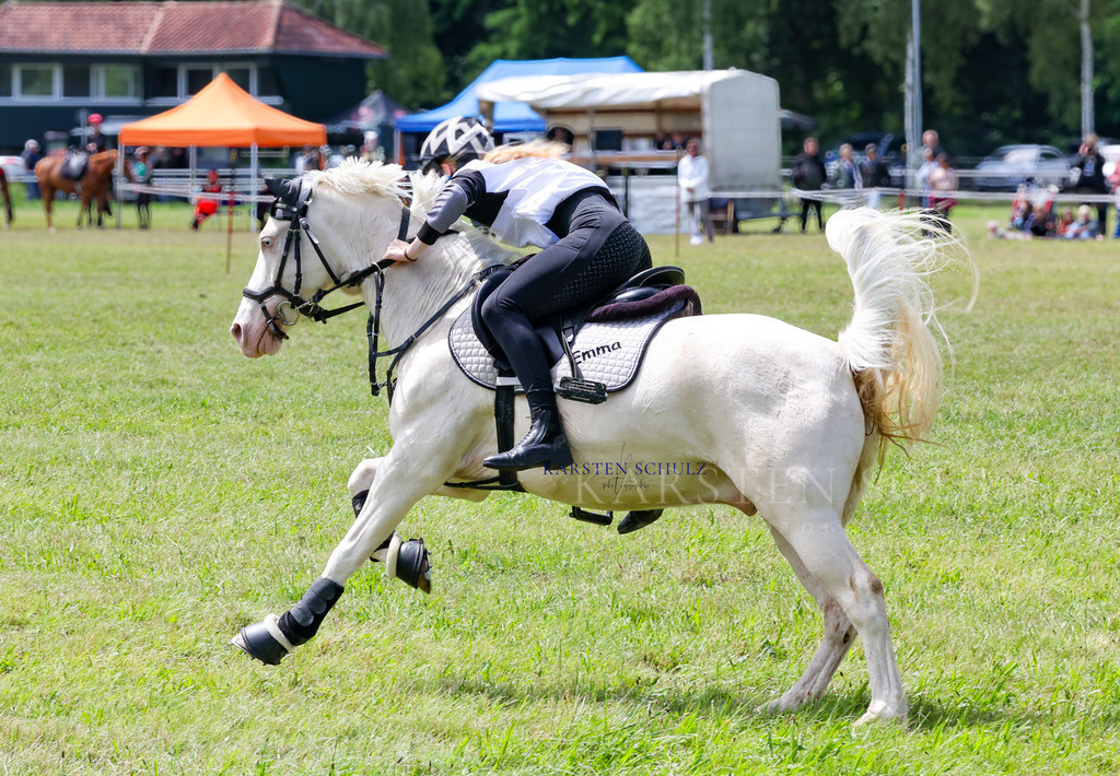 1B3A2527 | Reitsport Reiten